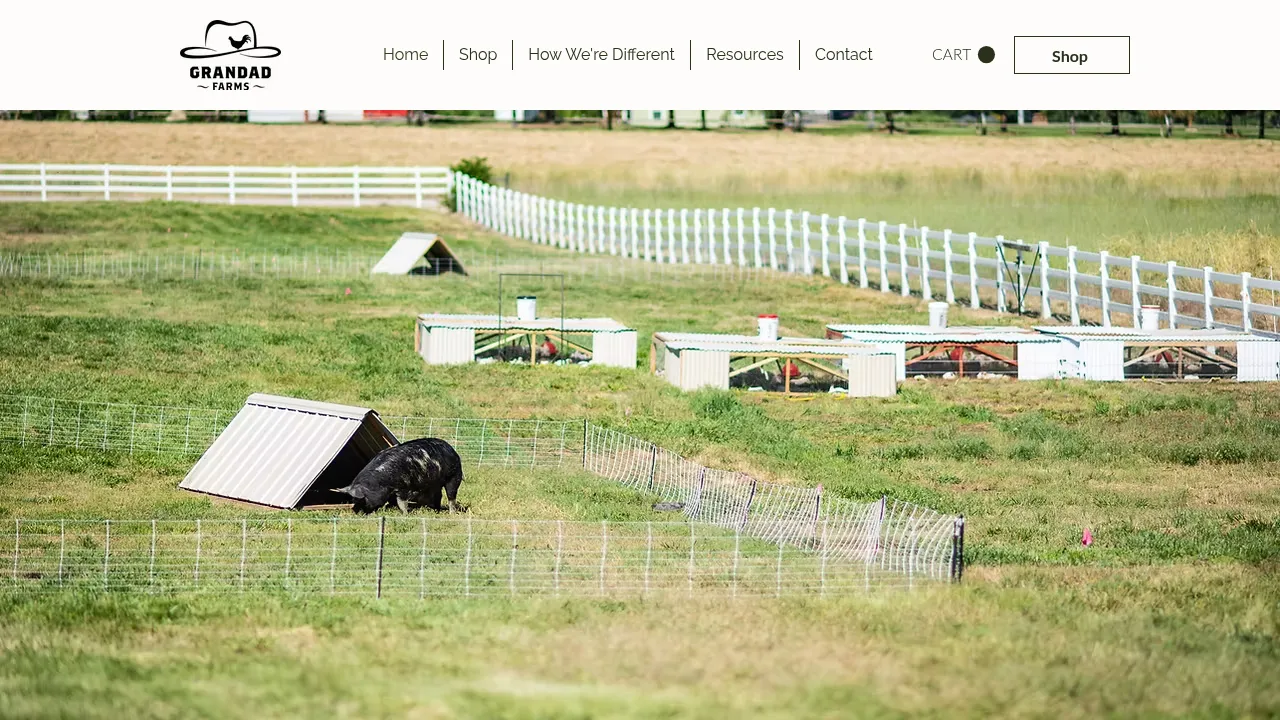 Cover of Grandad Farms