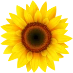VideoPsalm logo