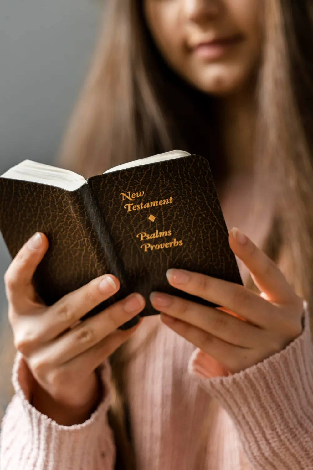 Intriguing Facts In Bible logo