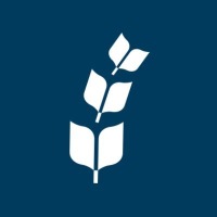 Bible League International logo